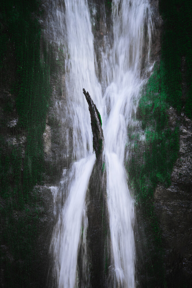 Max Saeling Fotokunst Die Schonheit Der Natur Photocircle