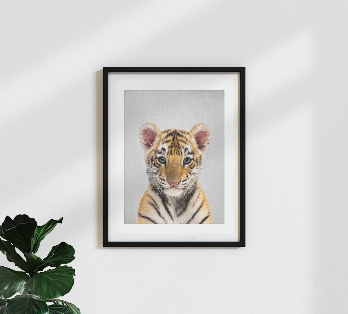 Baby Tiger Poster