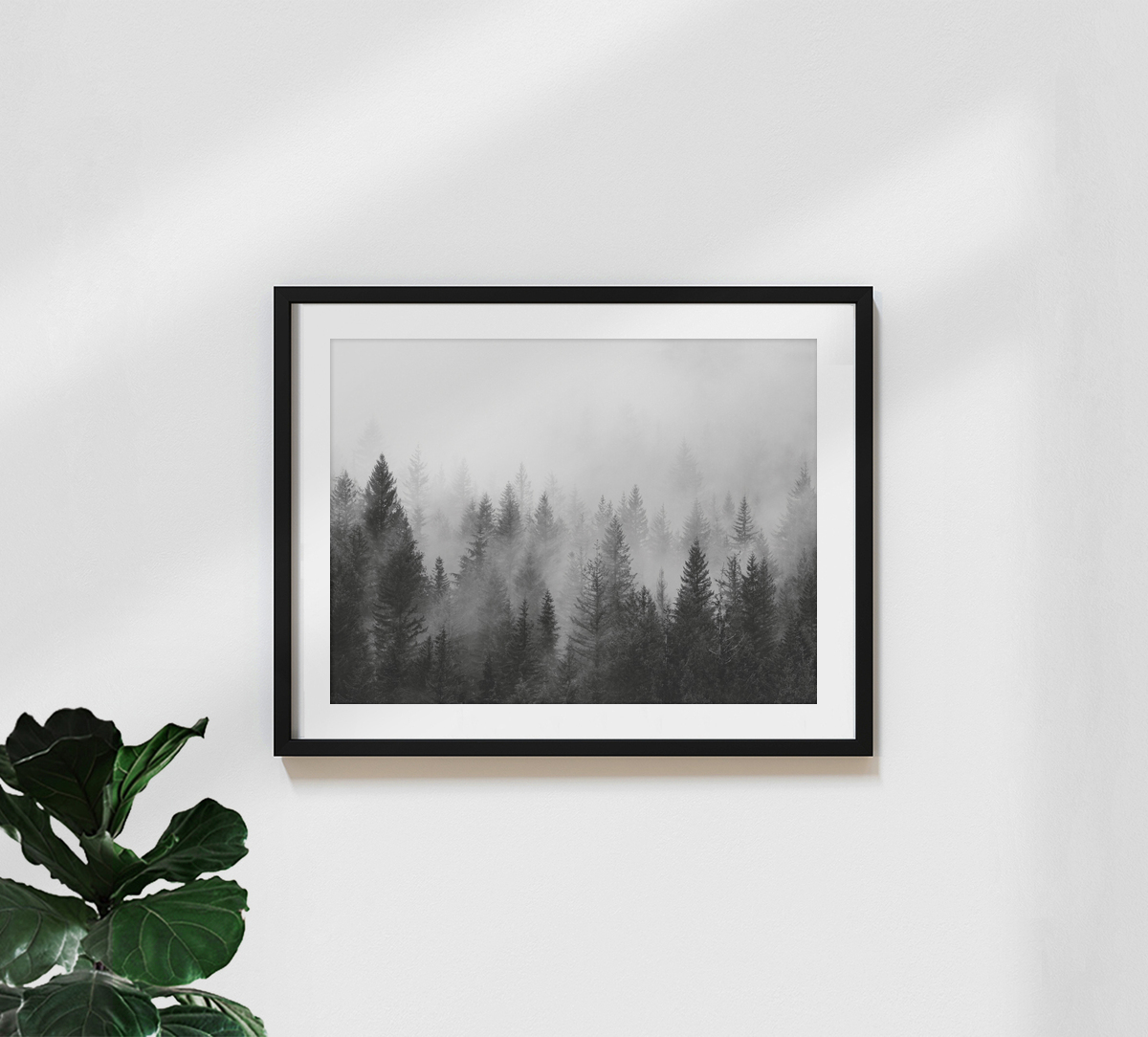 Seven Trees Design - 'B&W Forest' | Photocircle.net