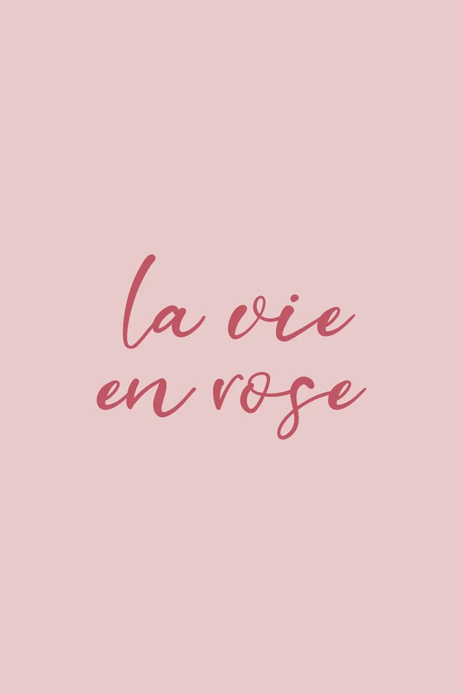 La vie en rose (pink) - fotokunst von Typo Art