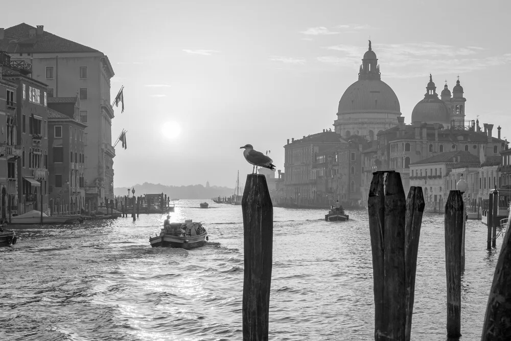 Sunrise at the Grand Canal in Venice - Fineart photography by Jan Becke