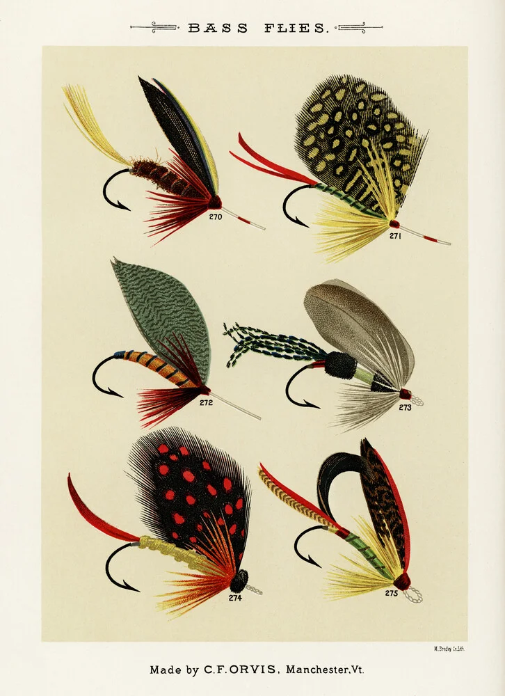 Vintage Nature Graphics wall art - 'Mary Orvis Marbury: Bass Flies 2