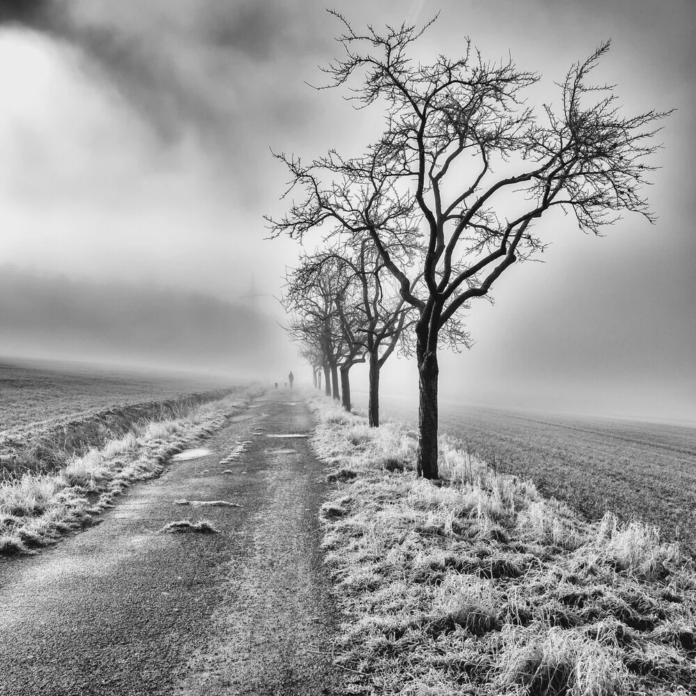 Long walk home - fotokunst von Robert Kuavi