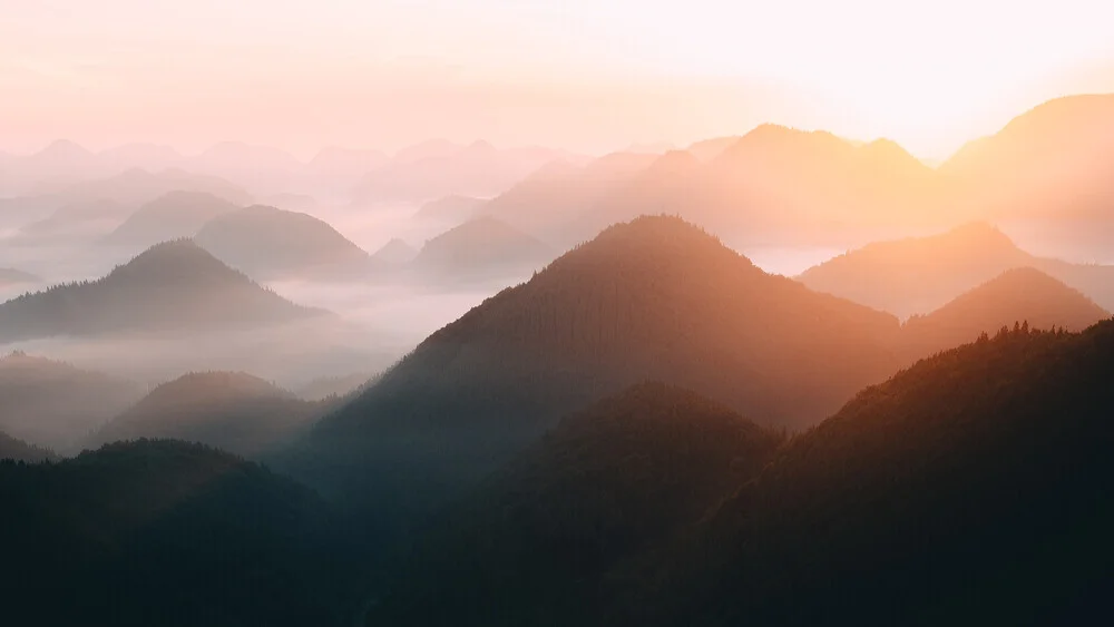 Golden morning in the Palatinate Forest - Fineart photography by Philipp Heigel