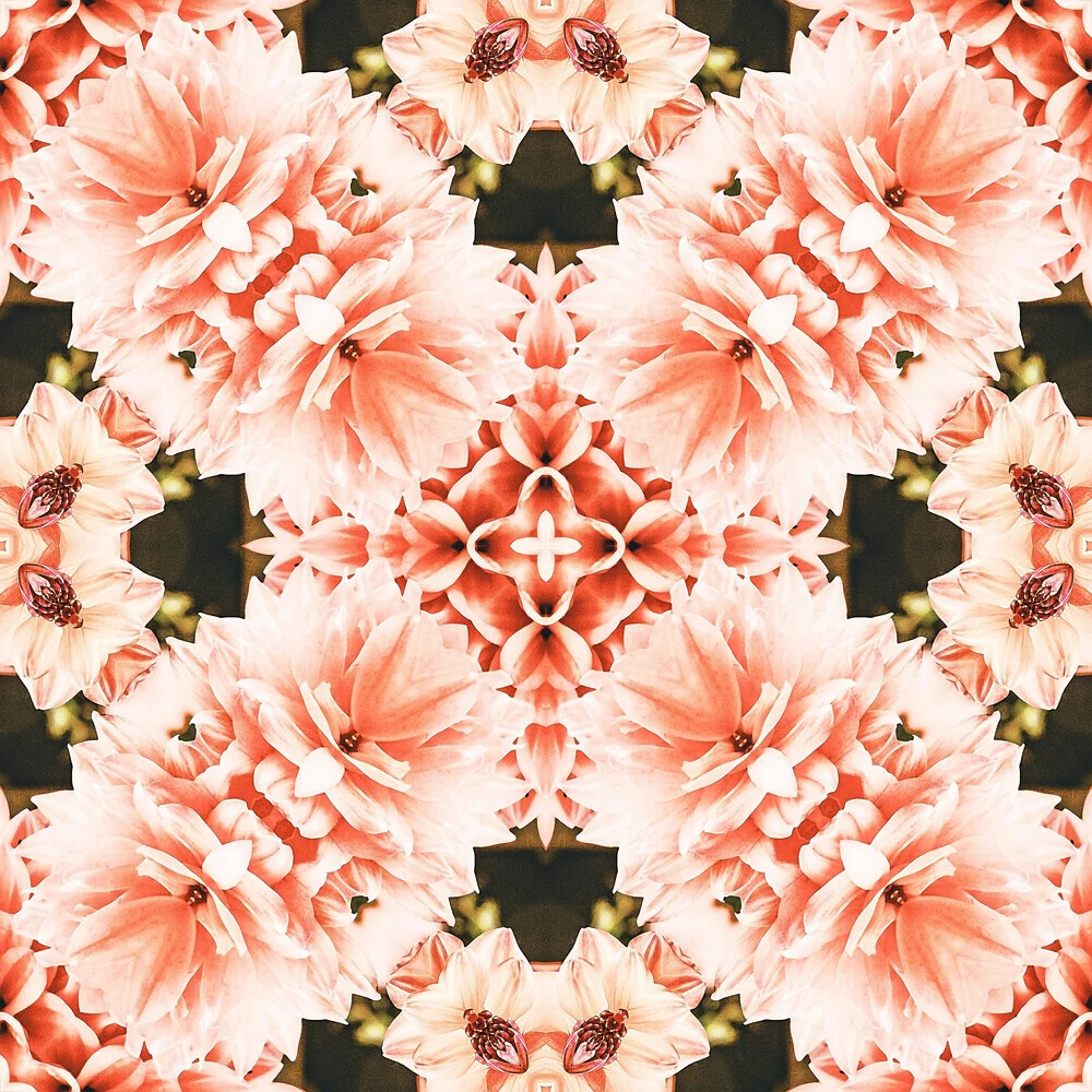 Blush Mandala - fotokunst von Uma Gokhale