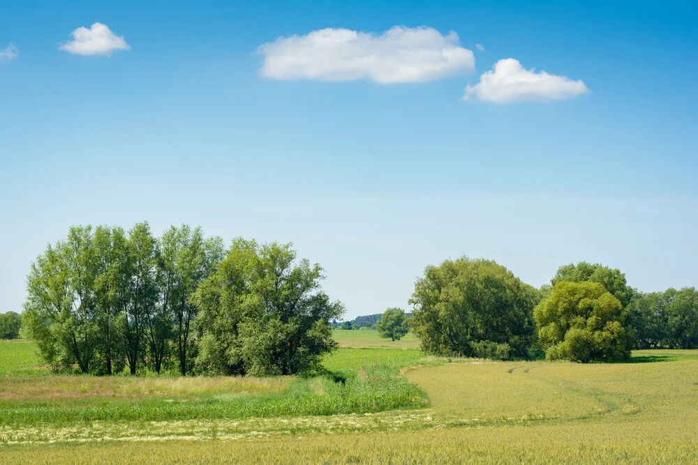 Rural Idyll at Usedom Island - Fineart photography by Martin Wasilewski