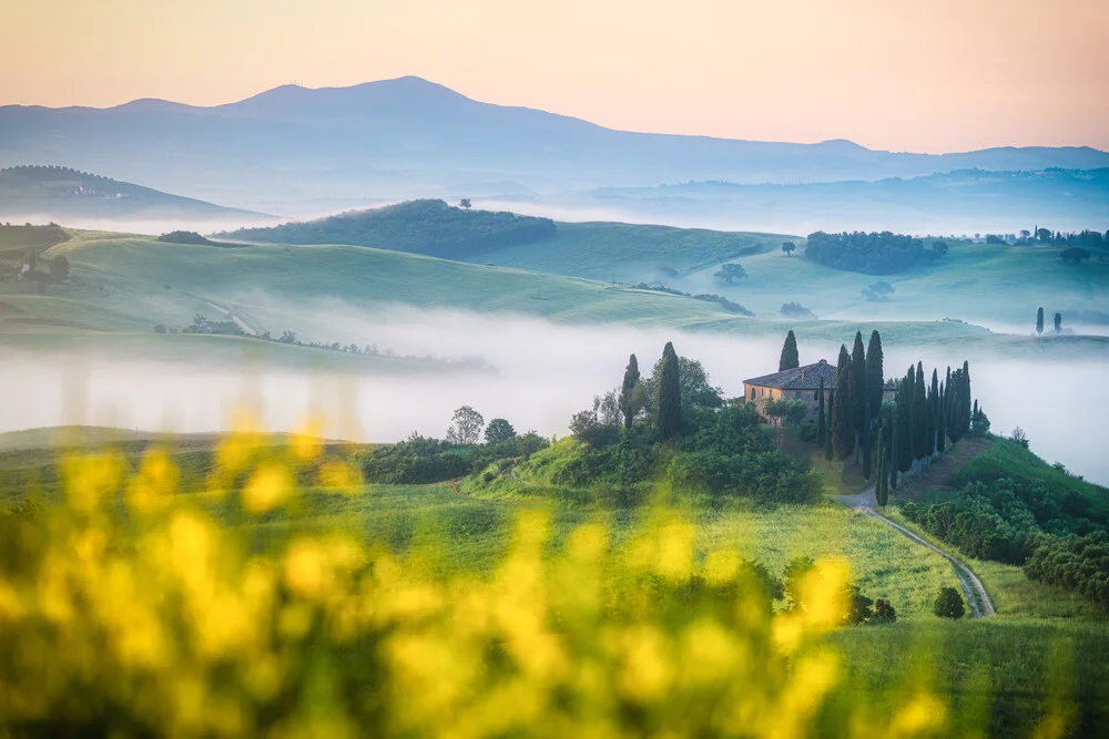 Toskana Val d'Orcia Podere Belvedere mit Raps und Nebel - fotokunst von Jean Claude Castor