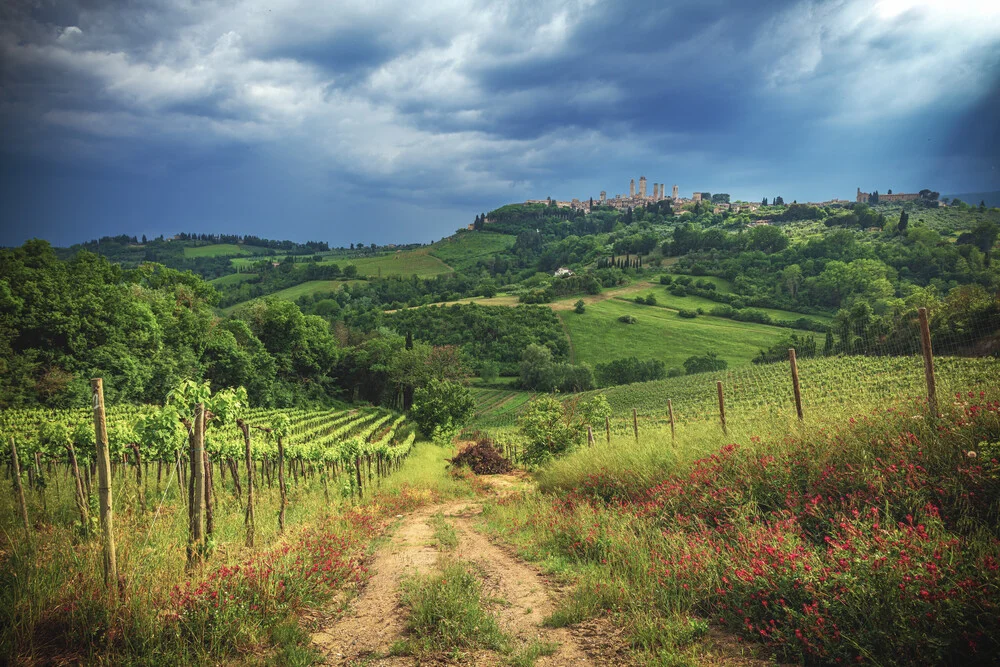 Toskana San Gimignano mit dramatischen Wolken und Weinbergen - Fineart photography by Jean Claude Castor