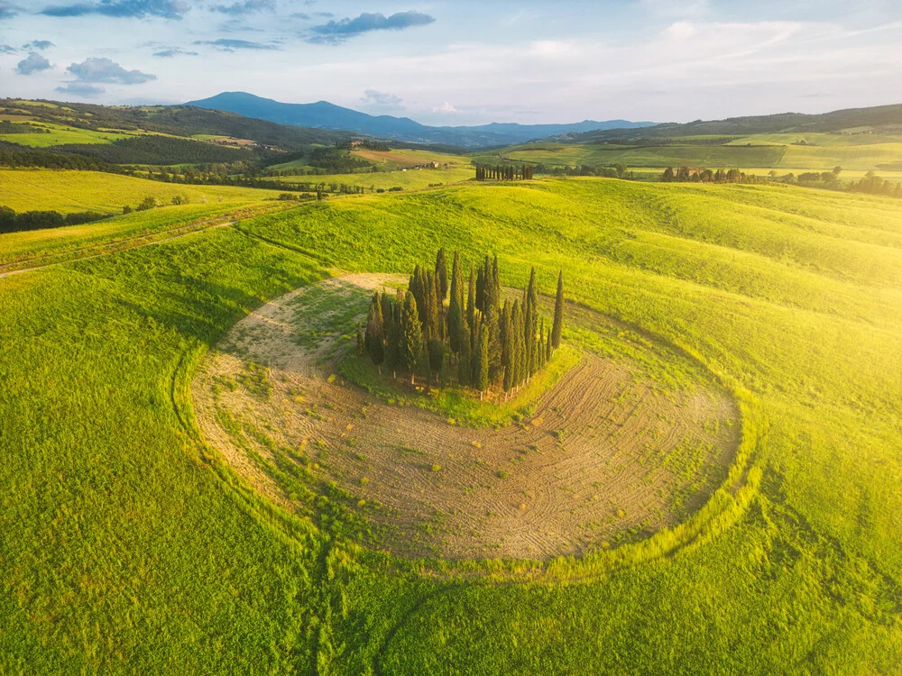 Toskana Zypressenhain im Abendlicht - fotokunst von Jean Claude Castor