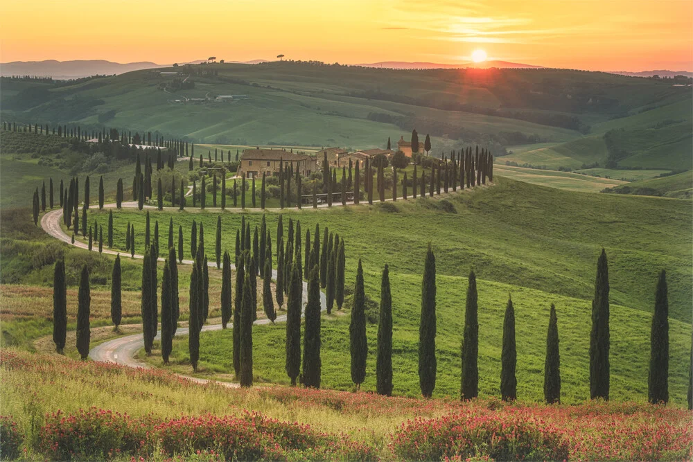 Toskana Sonnenuntergang an einer Zypressenallee nahe Asciano - fotokunst von Jean Claude Castor