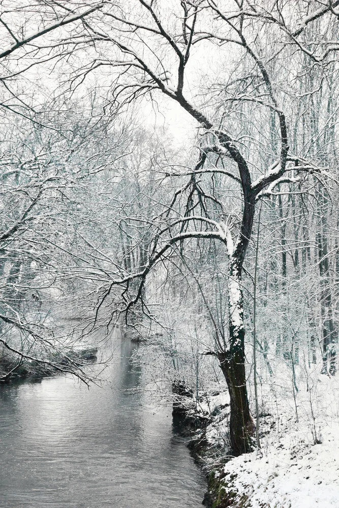 Silence at Amper River - Fineart photography by Lena Weisbek