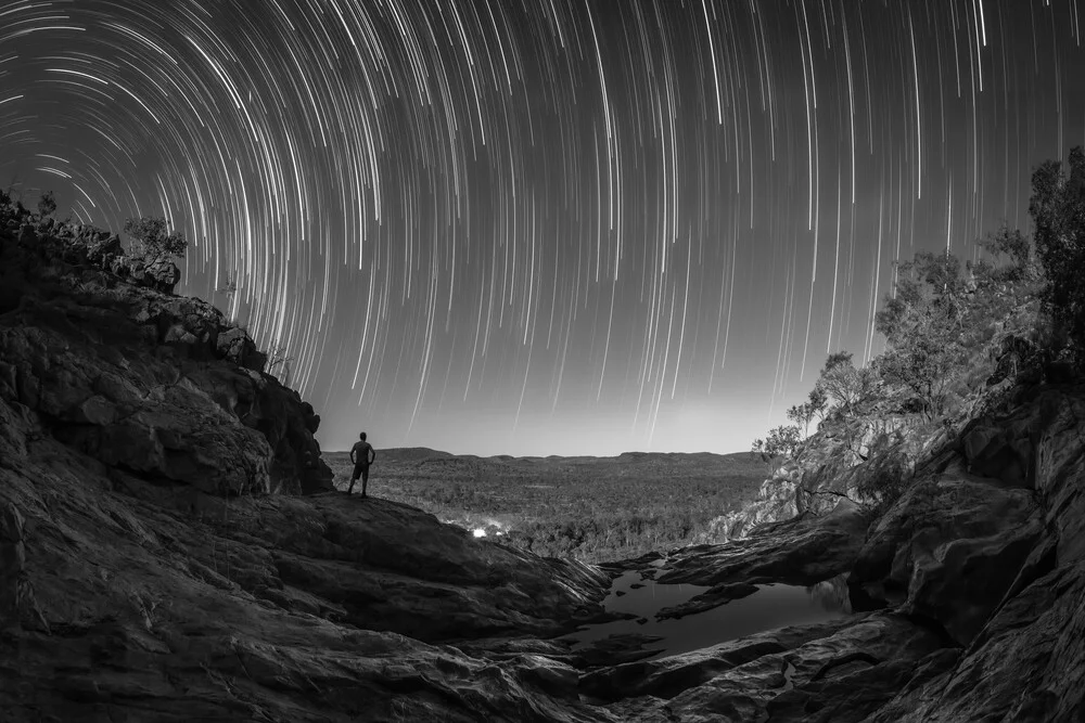 kakadu - Fineart photography by Christoph Schaarschmidt