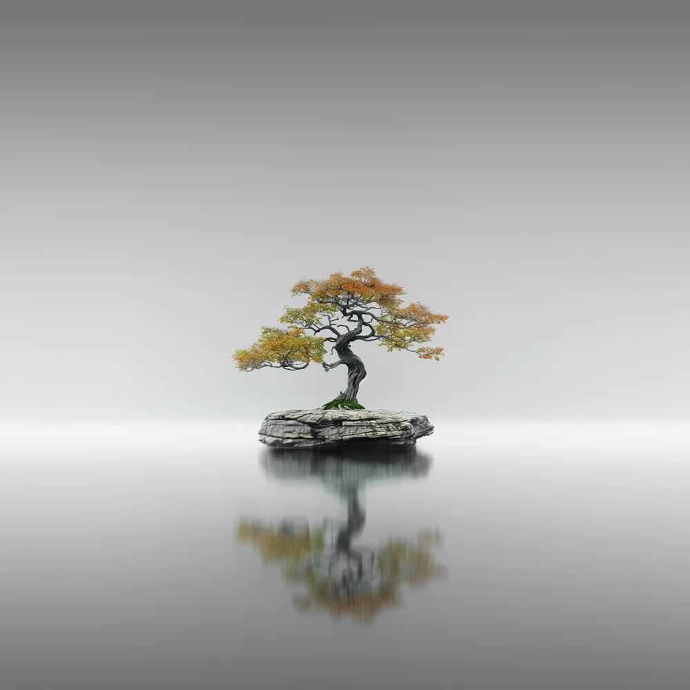 Bonsai III - Fineart photography by Ronny Behnert