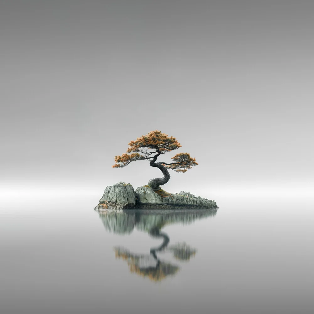 Bonsai I - Fineart photography by Ronny Behnert