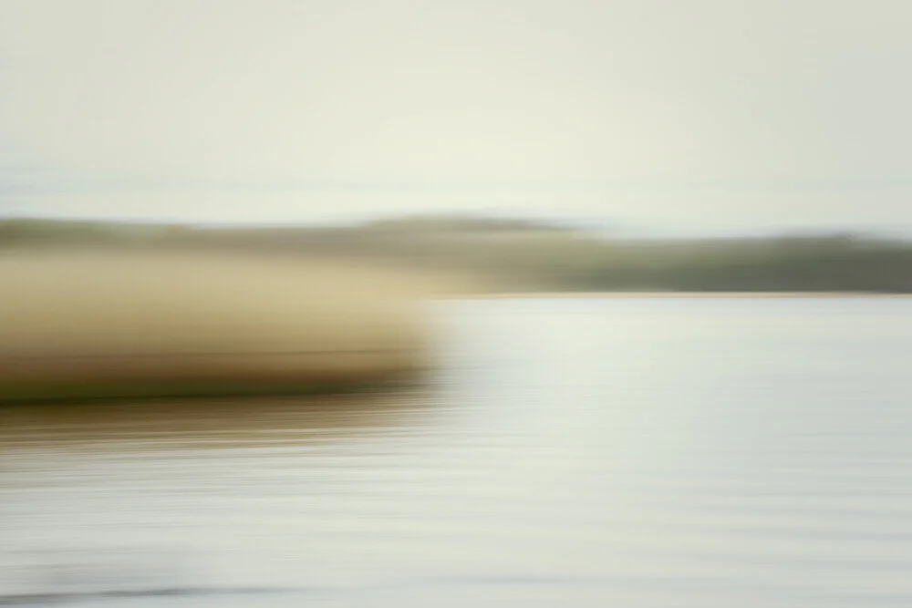 Schlei reed blurred - Fineart photography by Nadja Jacke