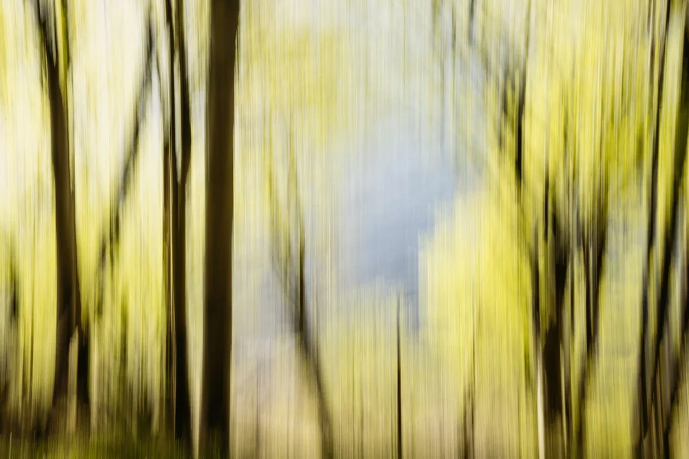 blurred spring forest in Quellental - Fineart photography by Nadja Jacke