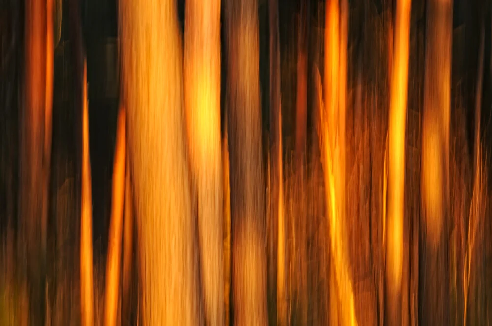 Inferno - Creative nature photography - Fineart photography by Rolf Schnepp