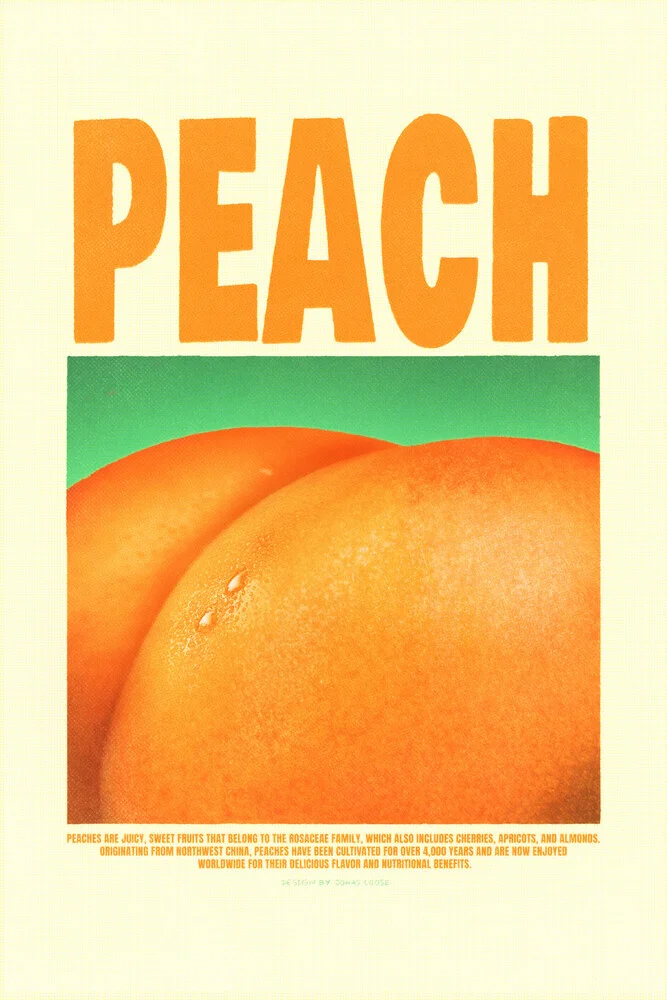 Peach - Fineart photography by Jonas Loose