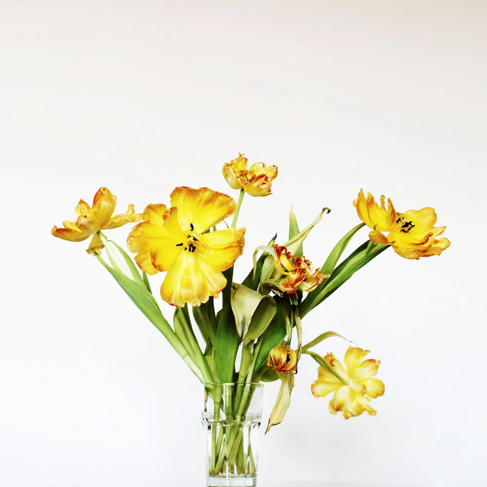 Glasvase mit gelben Tulpen - fotokunst von Manuela Deigert