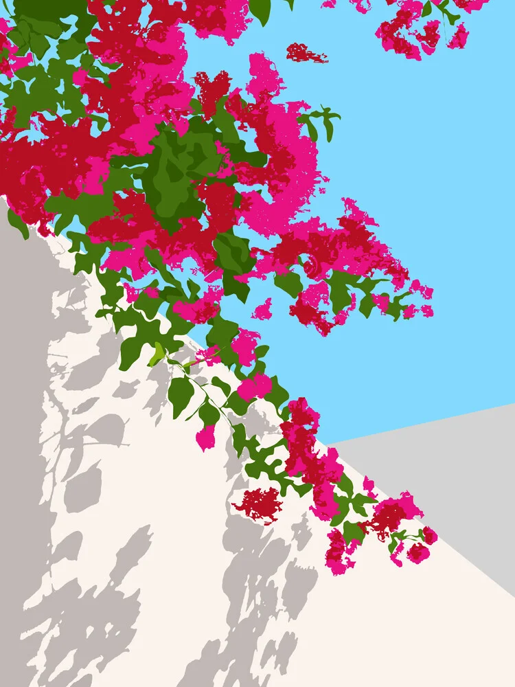 Bougainvillea Blossom, Greece Tropical Summer Travel, Santorini - fotokunst von Uma Gokhale