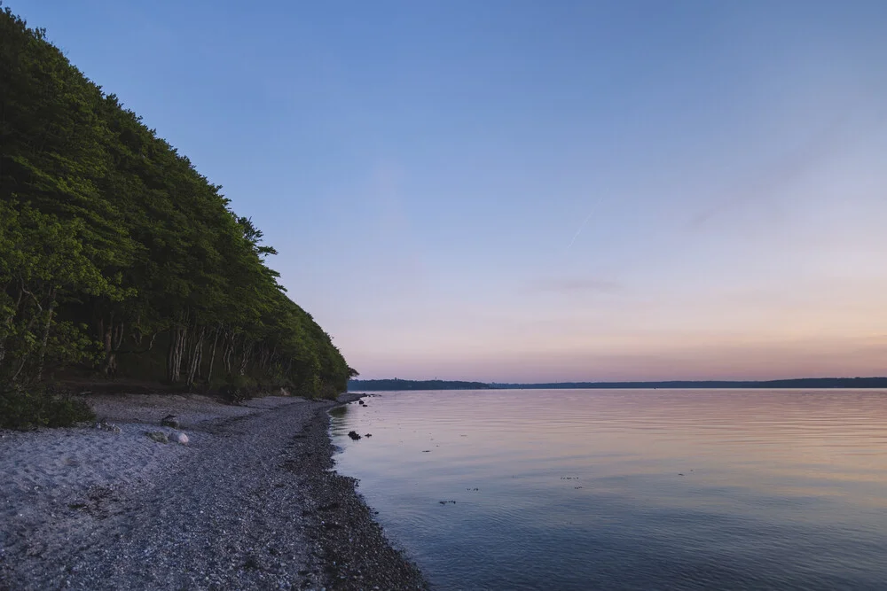 Forest and Baltic Sea at sunset - Fineart photography by Nadja Jacke