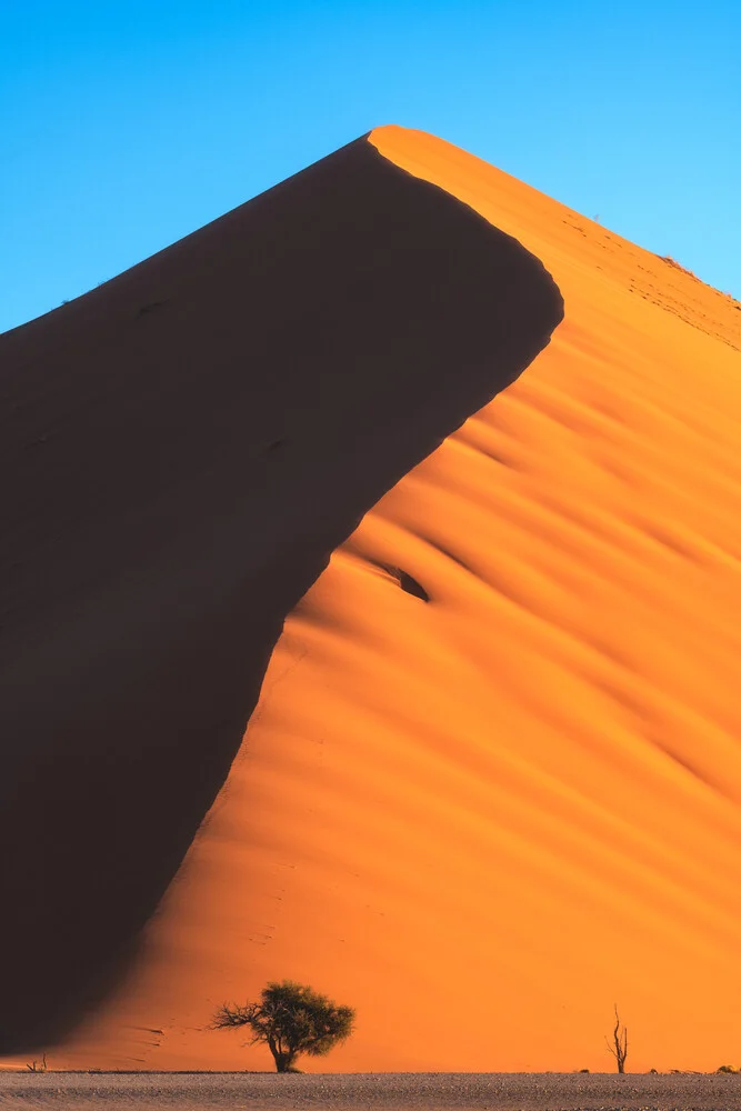 Namibia Dune 45 - fotokunst von Jean Claude Castor