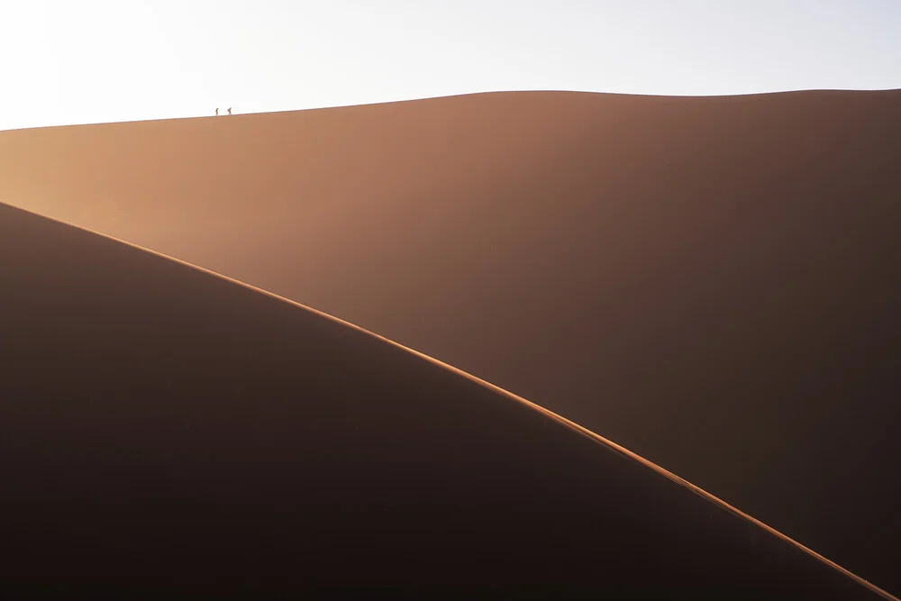 Namibia Big Daddy Dune - Fineart photography by Jean Claude Castor