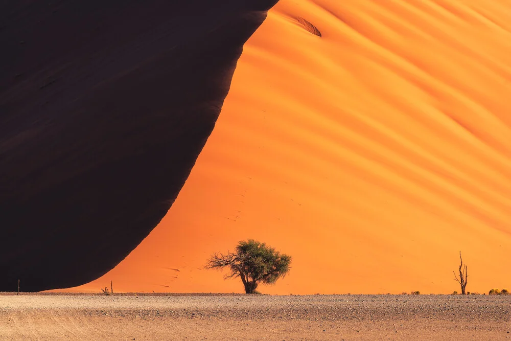 Namibia Dune 45 Closeup - fotokunst von Jean Claude Castor