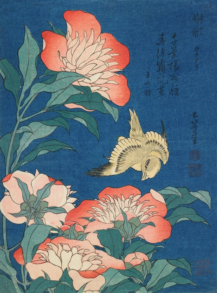 Katsushika Hokusai - peonies and canary - Fineart photography by Art Classics