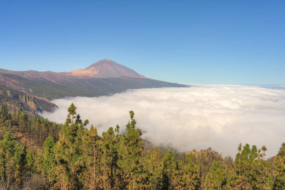 Teneriffa Mirador de Chipeque - fotokunst von Michael Valjak