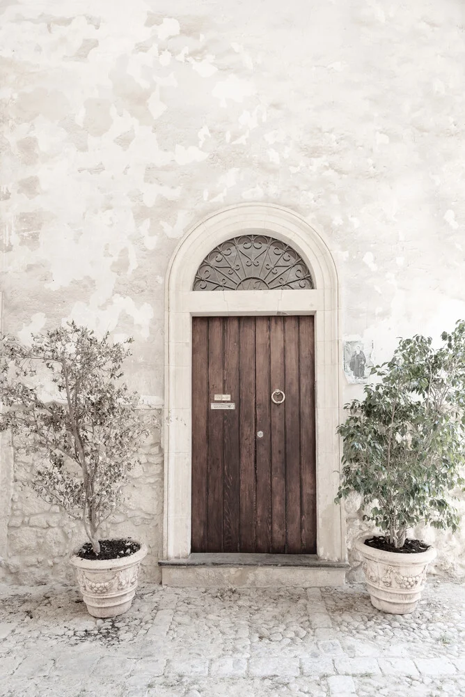 Wooden door with two plants - fotokunst von Photolovers .