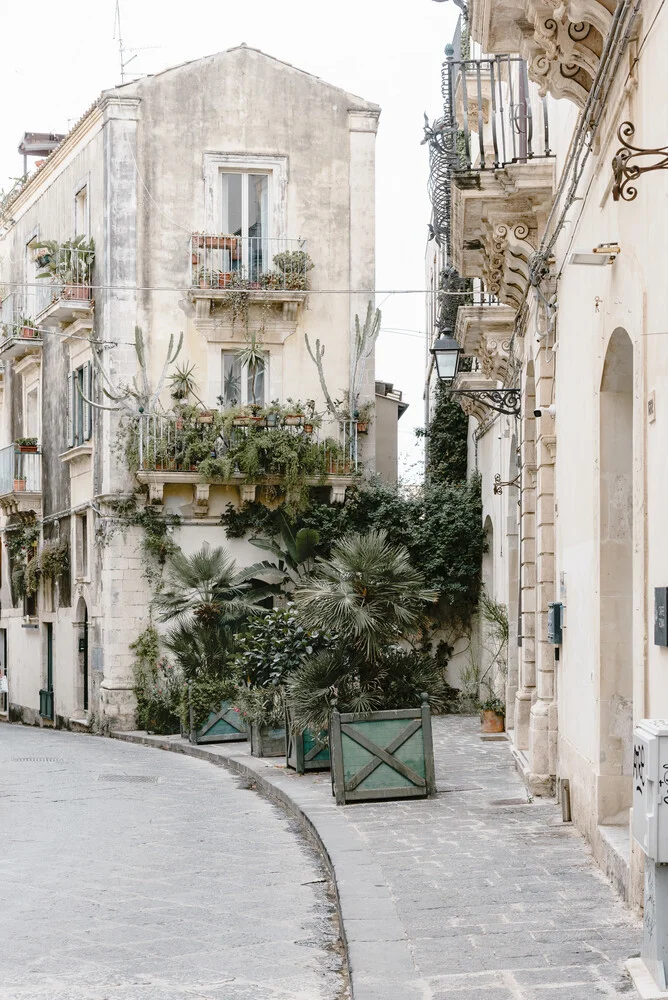 Botanical street scene in Sicily - Fineart photography by Photolovers .