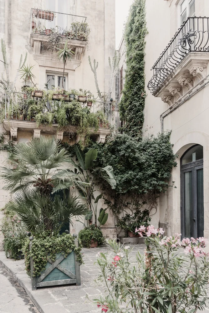 Botanical street scene in Syracuse - fotokunst von Photolovers .