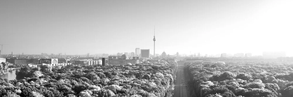 Trees n'concrete - fotokunst von Tillmann Konrad