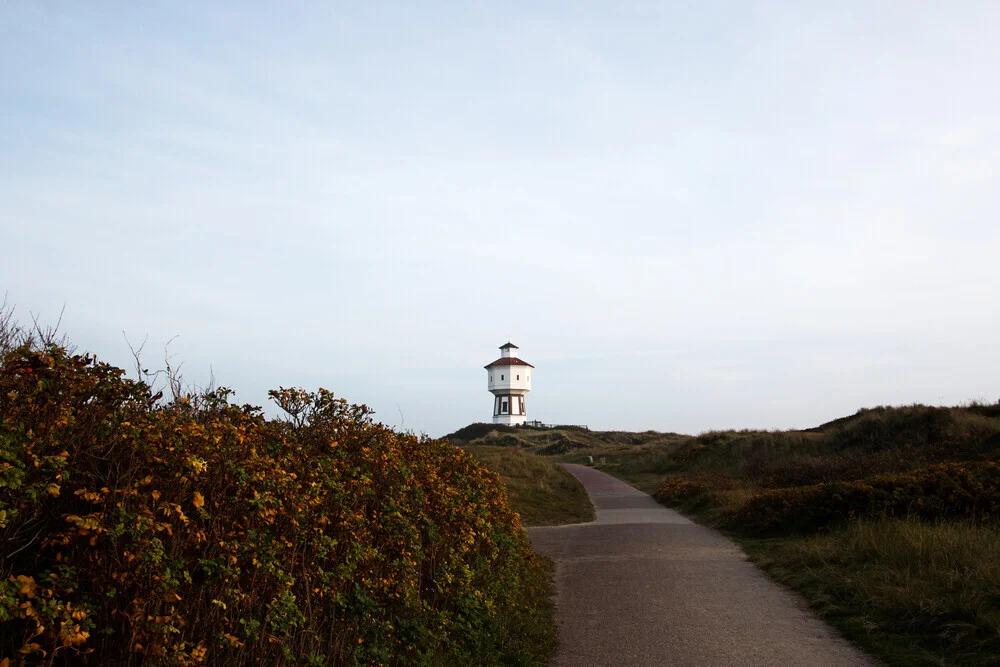 Footpath of the island Langeoog - Fineart photography by Manuela Deigert