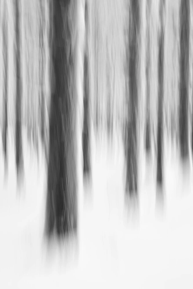 Barcode - Winterwald abstrakt - fotokunst von Rolf Schnepp