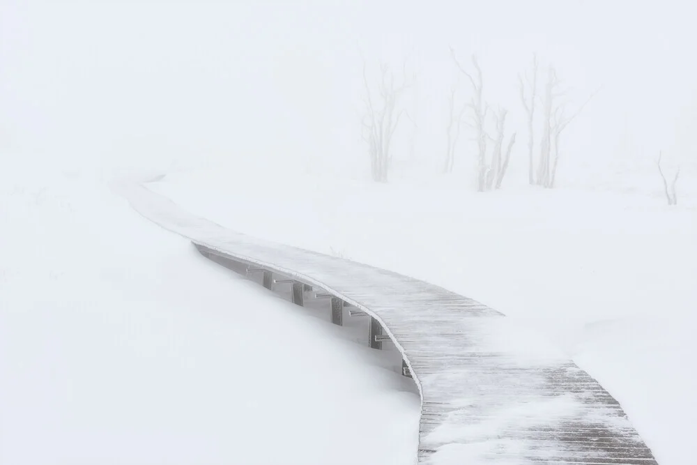 Whiteout - Winter in the High Fens - Fineart photography by Rolf Schnepp