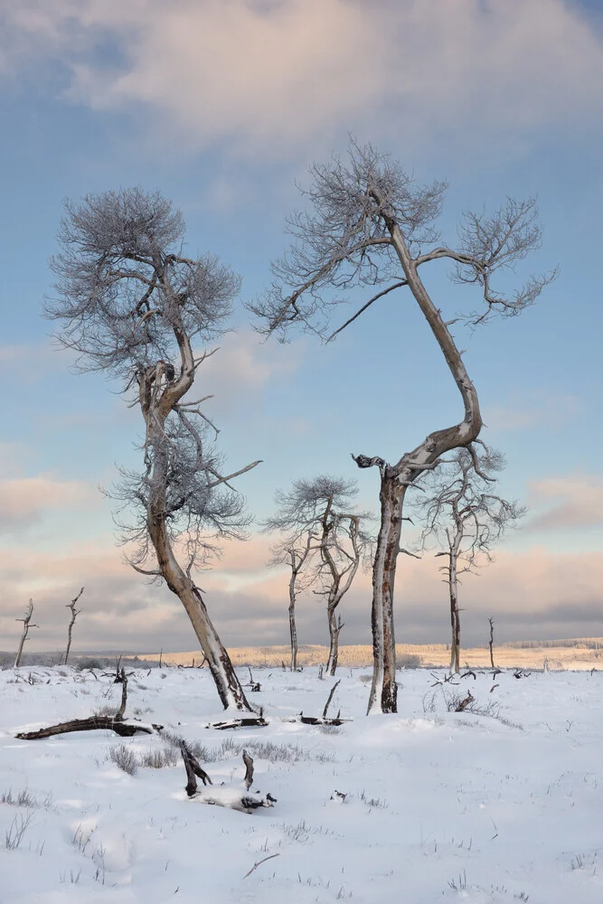 Winter in the High Fens - Fineart photography by Rolf Schnepp