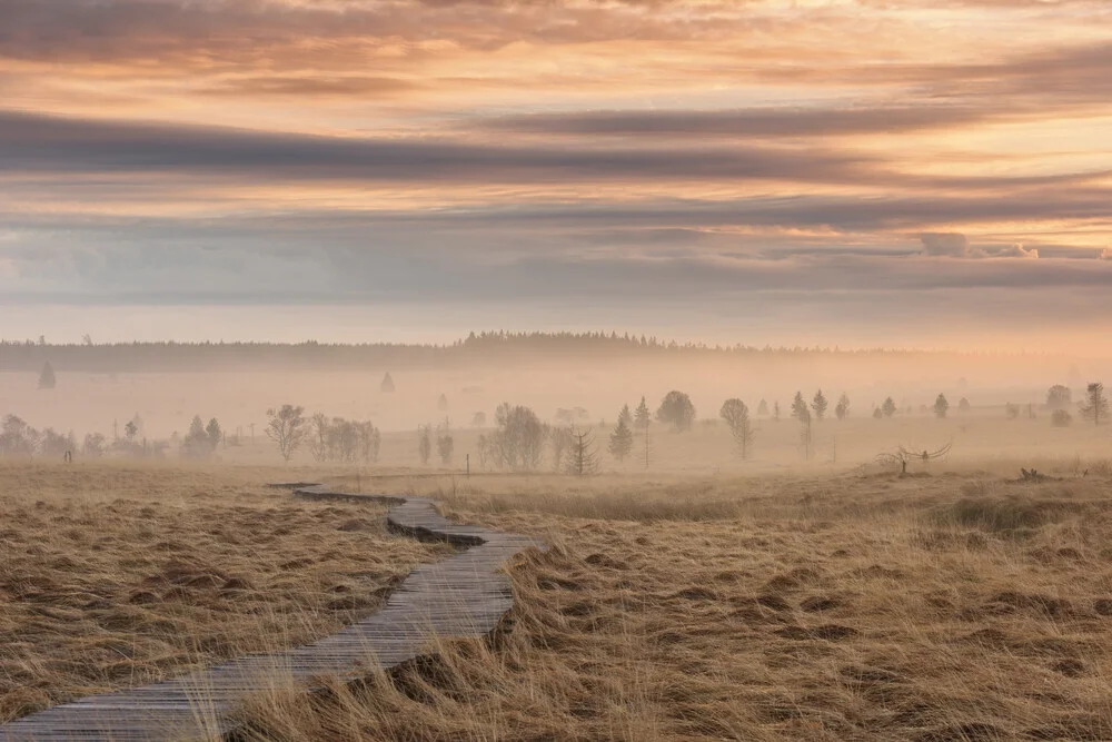 Morgenstimmung im Hohen Venn - fotokunst von Rolf Schnepp