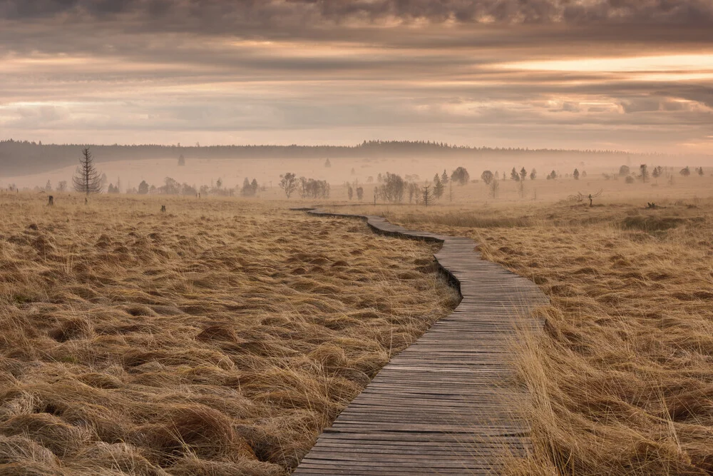 The narrow path - beautiful Ardennes - Fineart photography by Rolf Schnepp