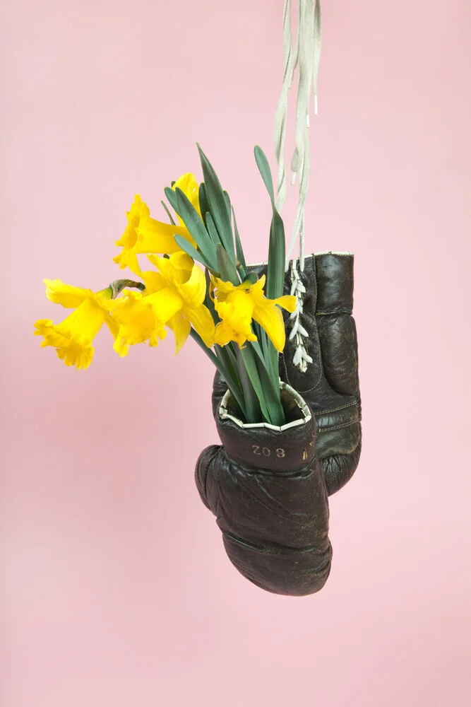 Yellow Flowers - Fineart photography by Loulou von Glup