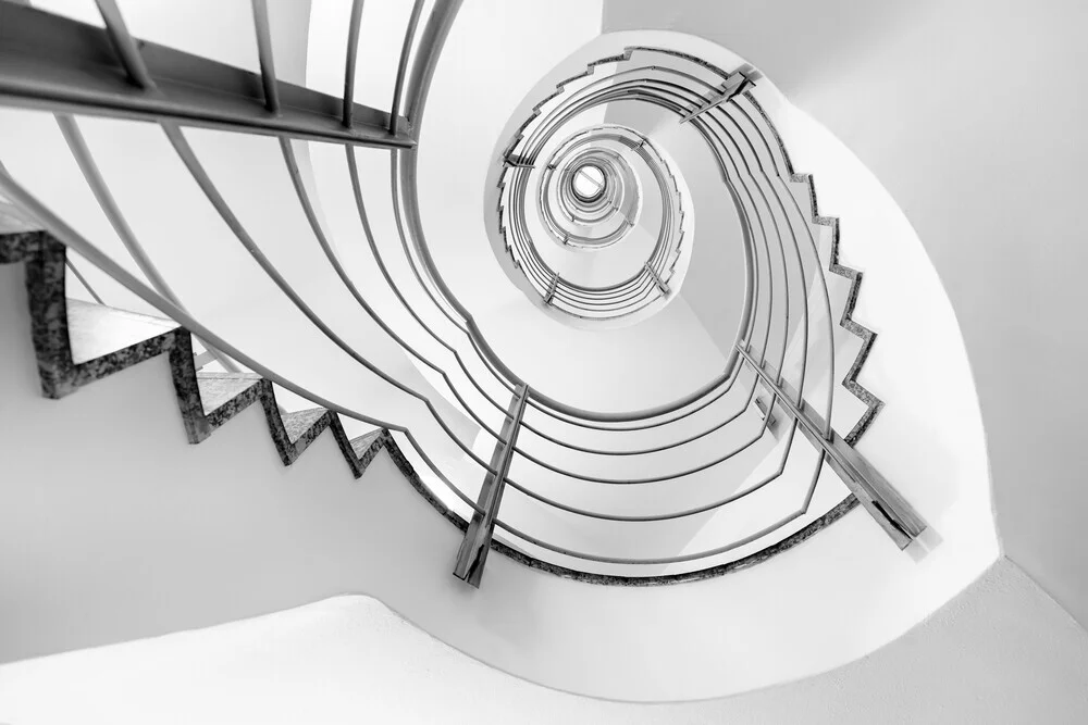 escargot upstairs - Fineart photography by Roswitha Schleicher-Schwarz