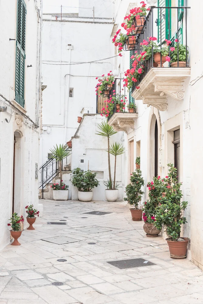 Botanical street scene in a white village - fotokunst von Photolovers .