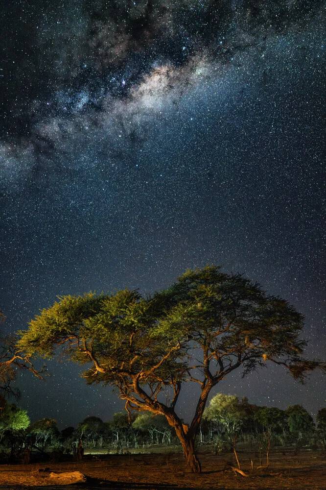 Milkyway in Botsuana - Fineart photography by J. Daniel Hunger