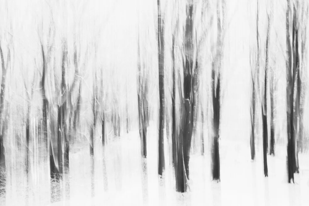 winter forest blurred - Fineart photography by Nadja Jacke