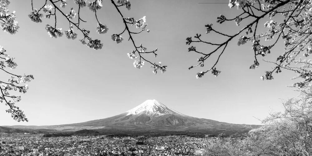 Fantastic panoramic view of Mount Fuji with cherry blossoms - Fineart photography by Melanie Viola