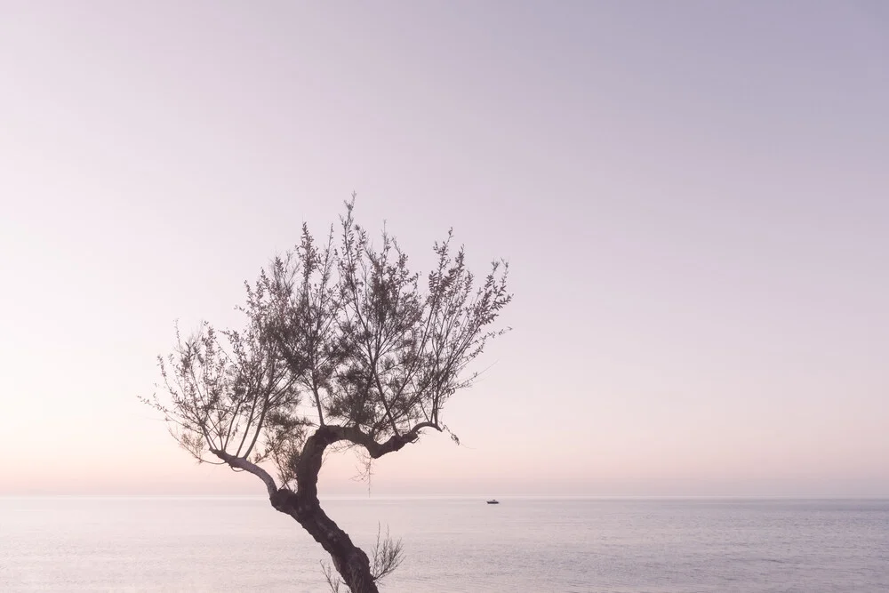 Purple sky with a tree - Fineart photography by Photolovers .