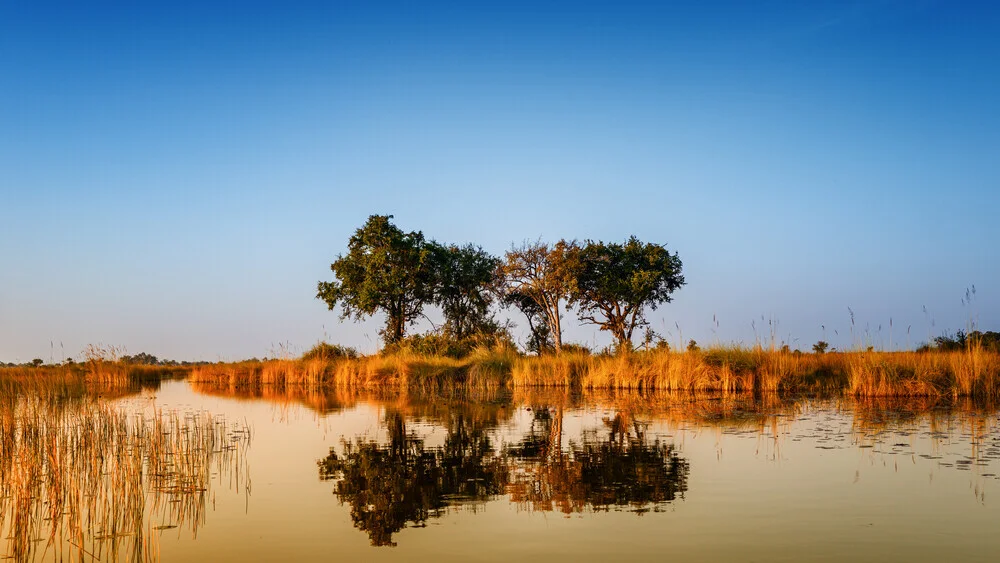 Okavango Delta - Fineart photography by J. Daniel Hunger