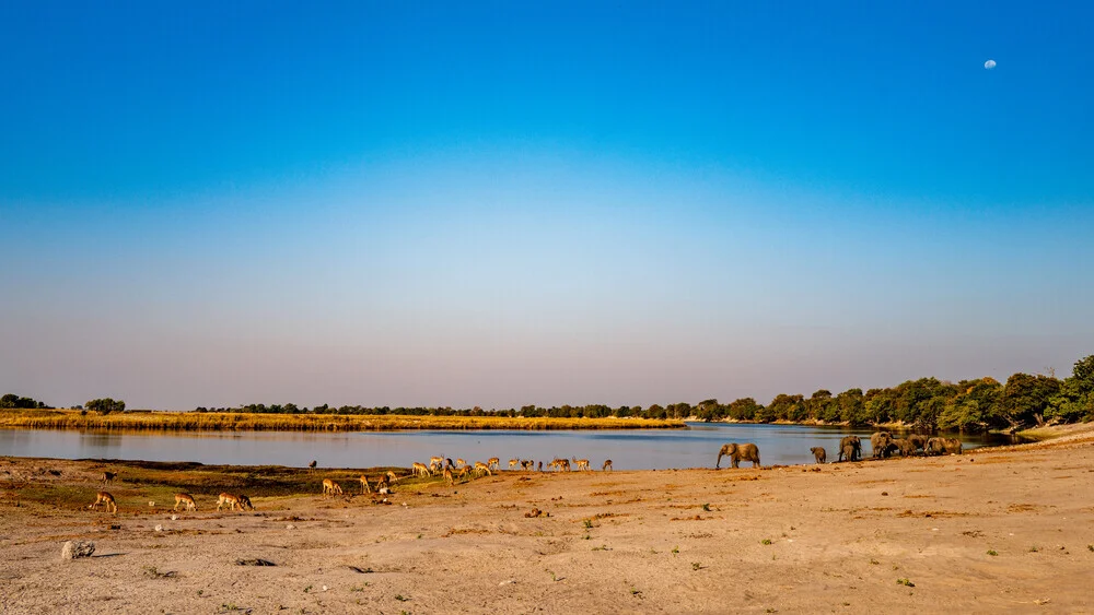 Okavango Delta #2 - Fineart photography by J. Daniel Hunger