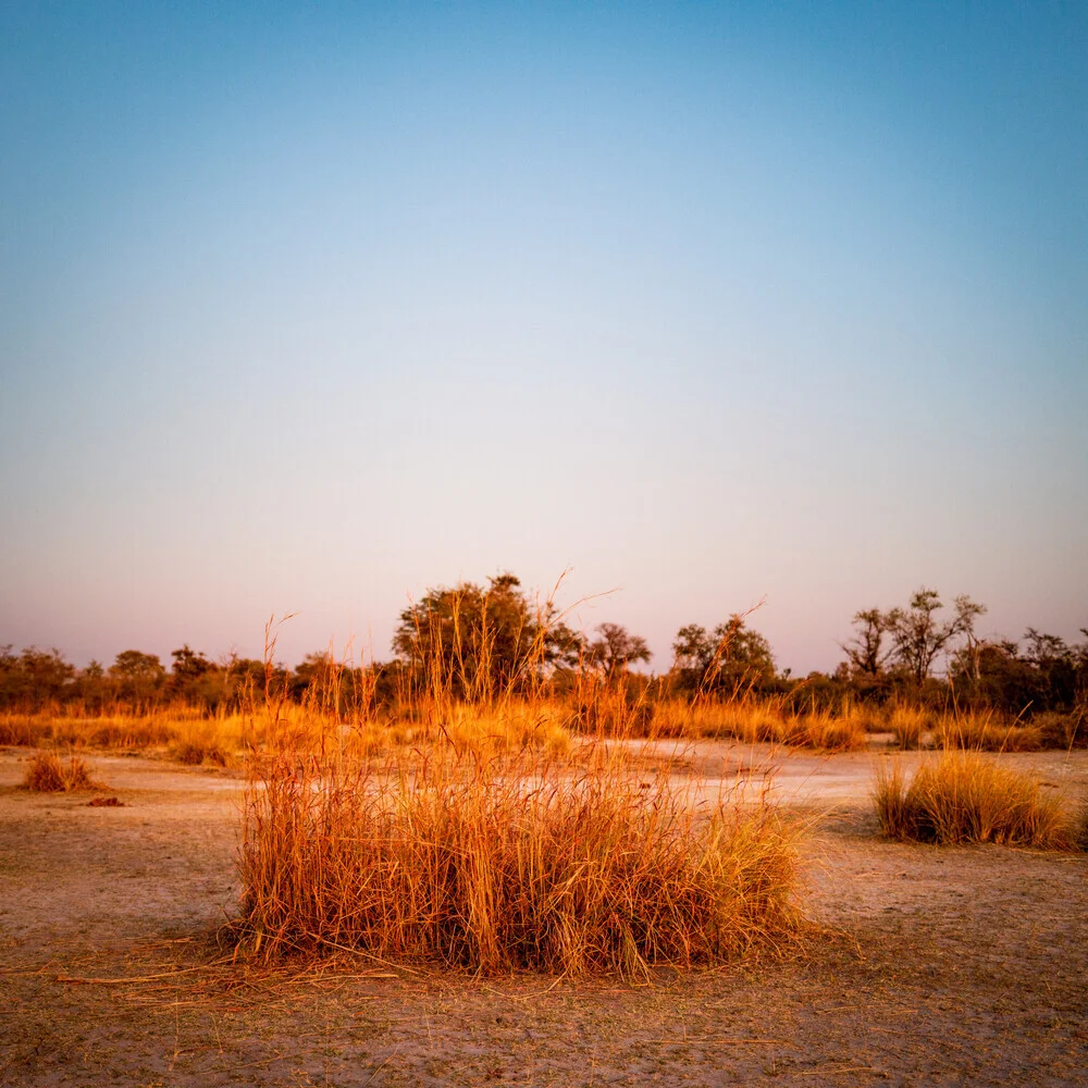 Mudumu Nationalpark, Namibia - fotokunst von J. Daniel Hunger